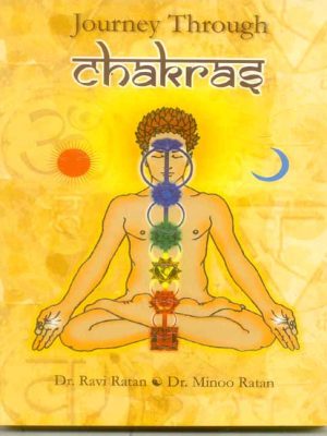Journey Through Chakras