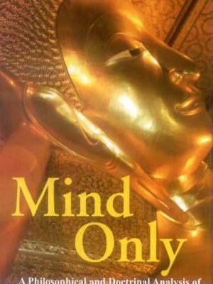 Mind Only: A Philosophical and Doctrinal Analysis of the Vijnanavada