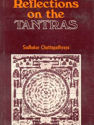 Reflections on the Tantras