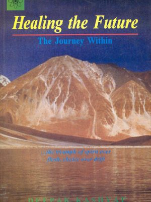 Healing The Future: The Journey Within