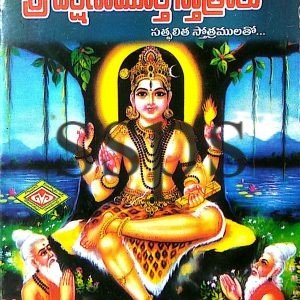 sri dakshinamurthy sutralu book