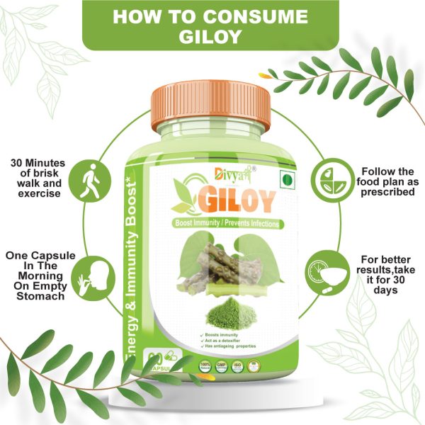 Giloy Capsule, Divya Shree, Ayurvedic, Healthy Skin, Immunity, Boost Energy, 800mg, Natural Remedy, Herbal Supplement, Digestive System, Vitality, Respiratory System, Antioxidants, Detoxification, Metabolic Rate, Joint Health, Mental Clarity, Cholesterol Levels, Blood Circulation, Skin Health, Brain Function, Immune System, Nervous System, Stress Relief, Immunity Support