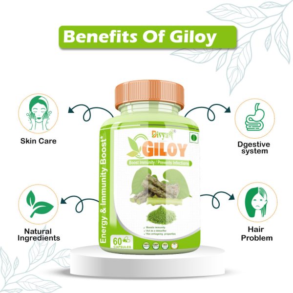 Giloy Capsule, Divya Shree, Ayurvedic, Healthy Skin, Immunity, Boost Energy, 800mg, Natural Remedy, Herbal Supplement, Digestive System, Vitality, Respiratory System, Antioxidants, Detoxification, Metabolic Rate, Joint Health, Mental Clarity, Cholesterol Levels, Blood Circulation, Skin Health, Brain Function, Immune System, Nervous System, Stress Relief, Immunity Support