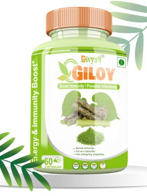 Giloy Capsule, Divya Shree, Ayurvedic, Healthy Skin, Immunity, Boost Energy, 800mg, Natural Remedy, Herbal Supplement, Digestive System, Vitality, Respiratory System, Antioxidants, Detoxification, Metabolic Rate, Joint Health, Mental Clarity, Cholesterol Levels, Blood Circulation, Skin Health, Brain Function, Immune System, Nervous System, Stress Relief, Immunity Support