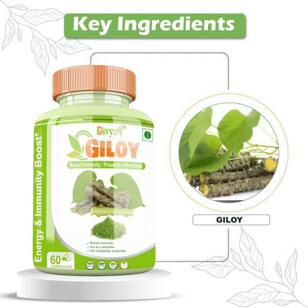 Giloy Capsule, Divya Shree, Ayurvedic, Healthy Skin, Immunity, Boost Energy, 800mg, Natural Remedy, Herbal Supplement, Digestive System, Vitality, Respiratory System, Antioxidants, Detoxification, Metabolic Rate, Joint Health, Mental Clarity, Cholesterol Levels, Blood Circulation, Skin Health, Brain Function, Immune System, Nervous System, Stress Relief, Immunity Support