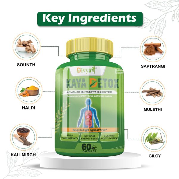 Immune System, Antibodies, Pathogens, White Blood Cells, Vaccines, Bacteria, Immunity Booster, Proteins, Nutrition, Immune Support, Antioxidants, Immunity Strength, Herbs, Mucosal Barrier, Inflammation, Cells, Pathogen Defense, Disease Prevention, Microbes, Immunology