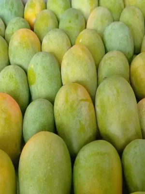 buy kesar mango online
